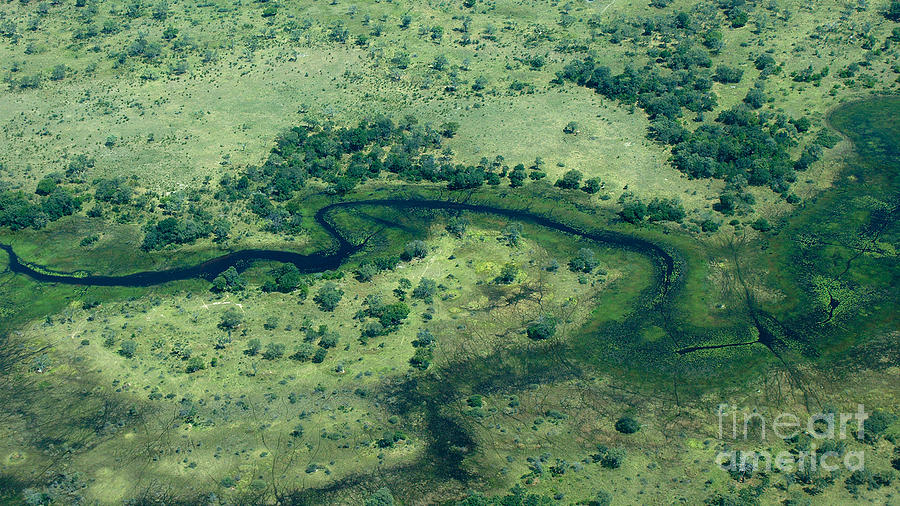 Okavango Deelta channel Photograph by Mareko Marciniak