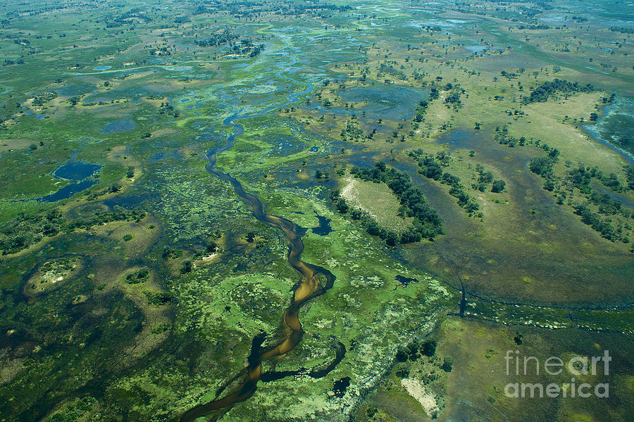 Okavango Delta 3 Photograph by Mareko Marciniak