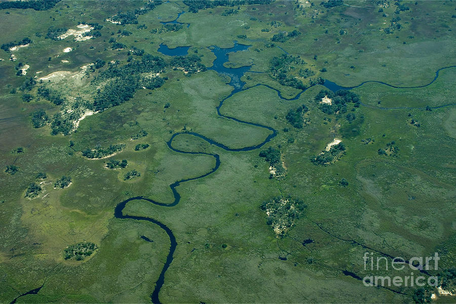 Okavango Delta 5 Photograph by Mareko Marciniak