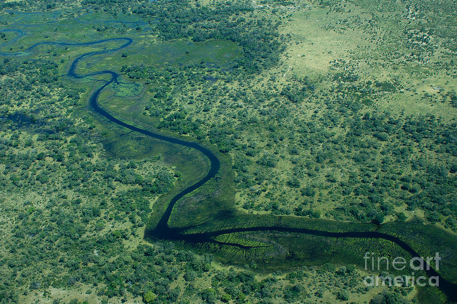Okavango Delta channel Photograph by Mareko Marciniak