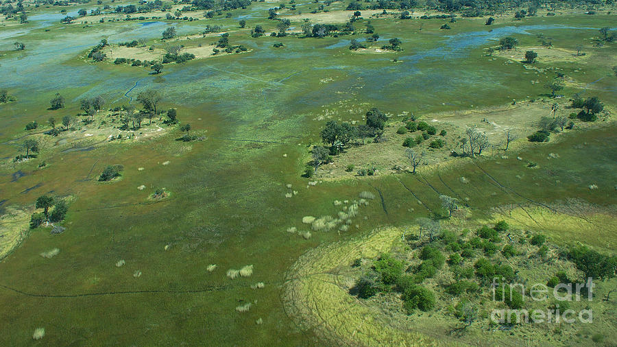 Okavango Delta Islands 2 Photograph by Mareko Marciniak