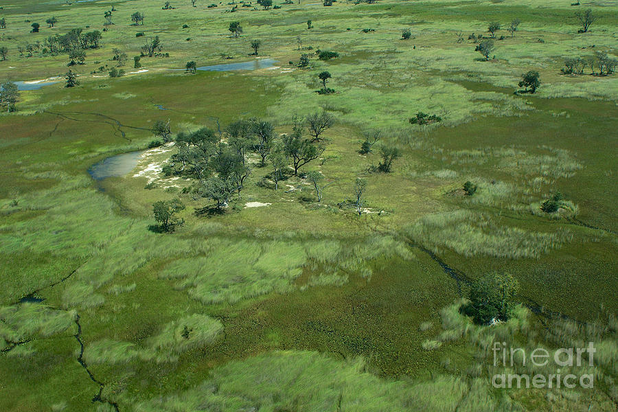 Okavango Delta Islands Photograph by Mareko Marciniak