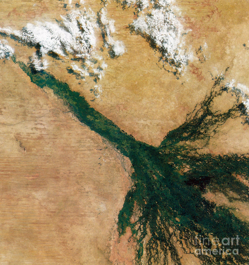 Okavango Delta, Satellite Image by Science Source