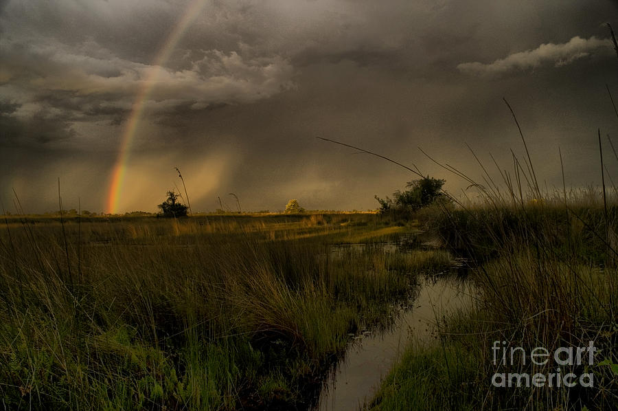 Okavango rainbow Photograph by Mareko Marciniak