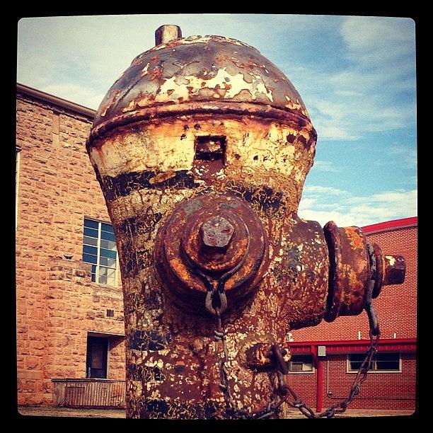 Oklahoma Fire Hydrant Photograph by Paul Martin