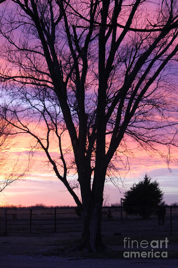 Sunset Photograph - Oklahoma Sunset 2 by Sheri Simmons