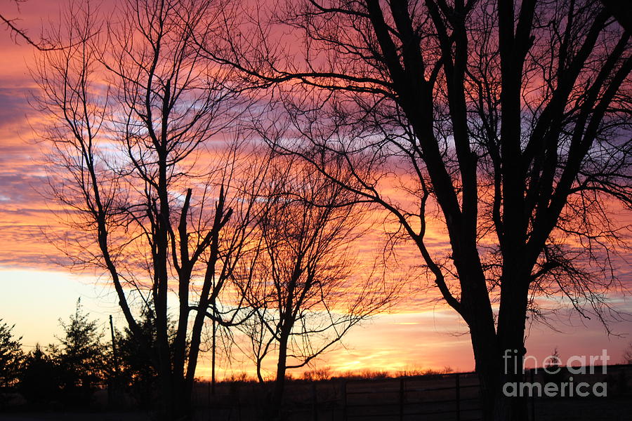 Sunset Photograph - Oklahoma Sunset by Sheri Simmons