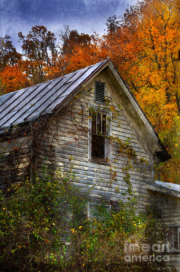 Old Abandoned House in Fall Photograph by Jill Battaglia