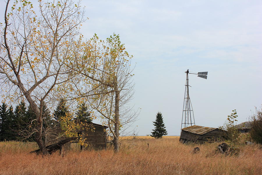 Old Alberta Prairie Homestead Photograph by Jim Sauchyn