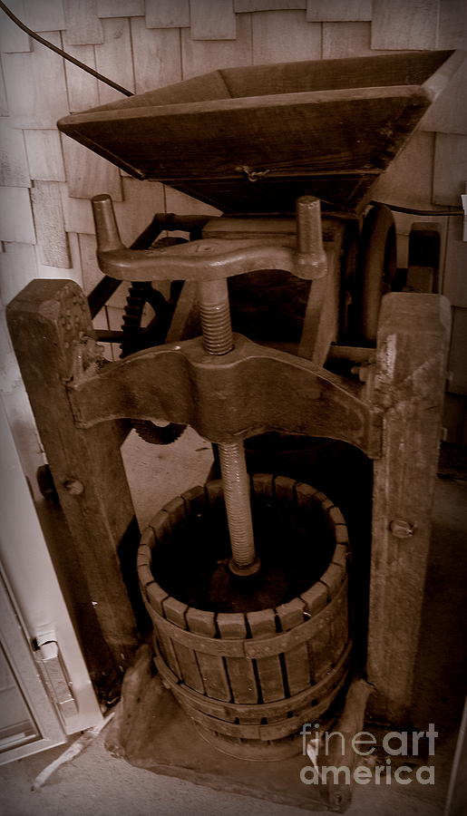 Old apple Press Photograph by Tatyana Searcy