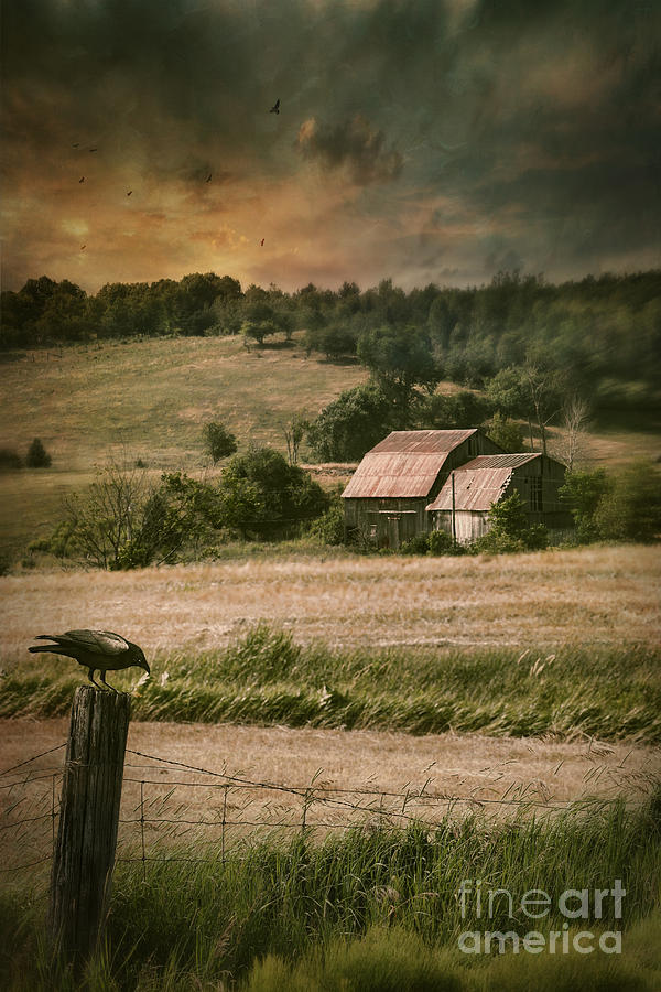 Crow Photograph - Old barm in farm field at sunset by Sandra Cunningham