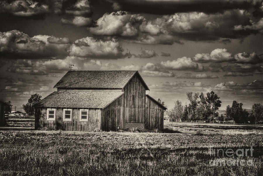 Old Barn after the Storm Black and White Photograph by Jim And Emily Bush