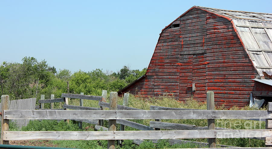 Barn Photograph - Old barn and corrals by Jim Sauchyn