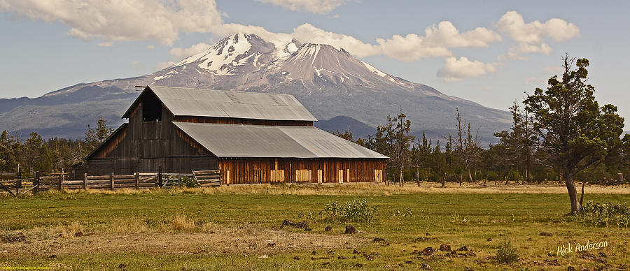 Old Barn and Mount Shasta Photograph by Mick Anderson