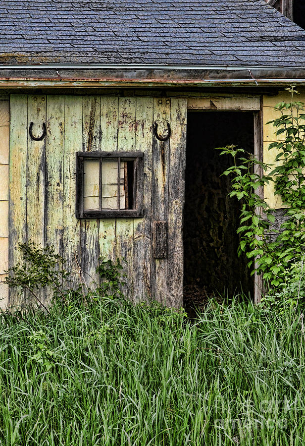 Old Barn Door Photograph by Jill Battaglia