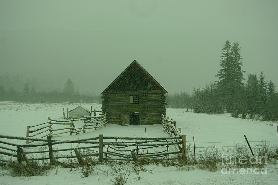 Old Barn In A Snow Fall Photograph