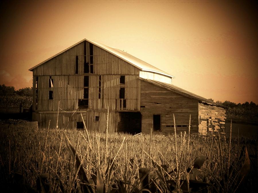 Old Barn in Indiana Photograph by Joyce Kimble Smith