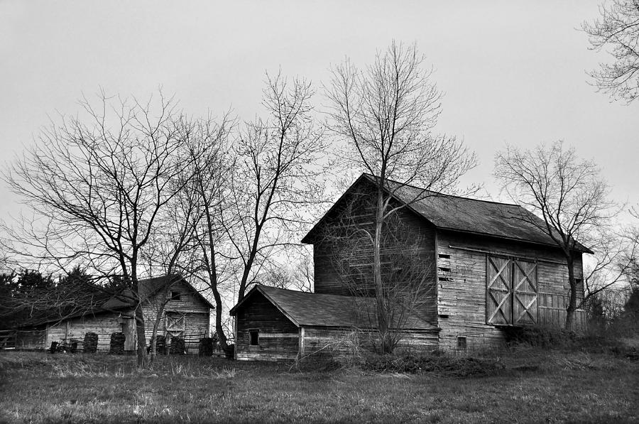 Old Barn In Monochrome Photograph by JD Fielding - Fine Art America