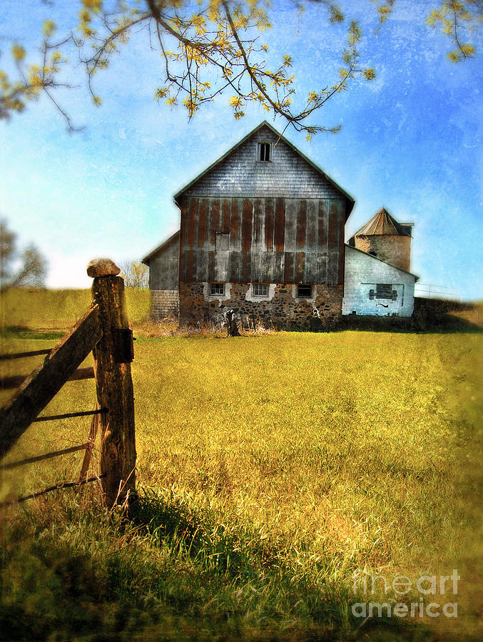 Old Barn in Springtime Photograph by Jill Battaglia