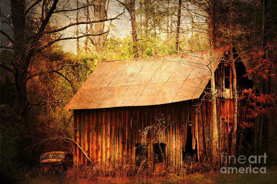 Old Barn In The Woods Photograph By Iris Greenwell