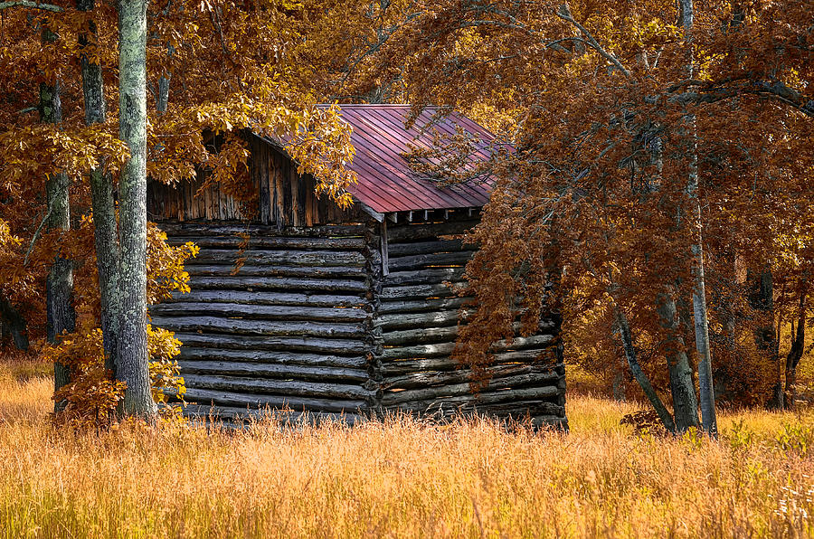 Old Barn In The Woods Photograph By Steve Hurt