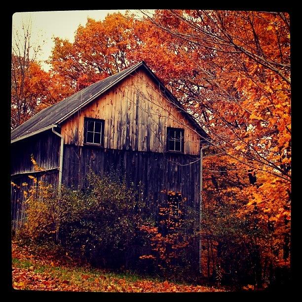 Fall Photograph - Old Barn  by Justin Connor