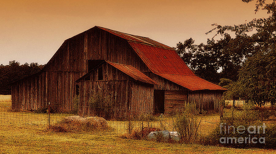 Old Barn Photograph by Lydia Holly