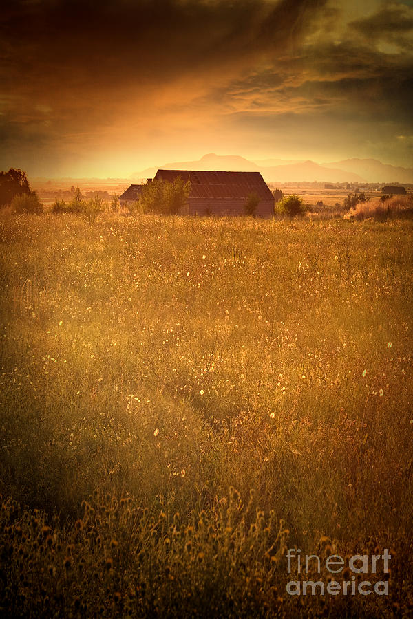 Old barn on the prairies at sunset Photograph by Sandra Cunningham