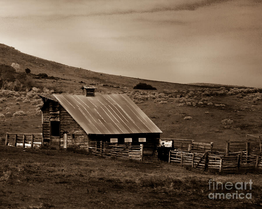 Old Barn Photograph by Robert Bales