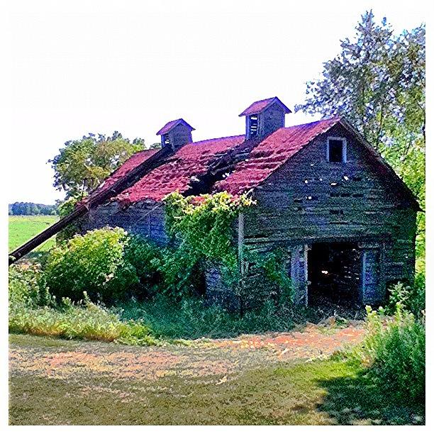 Old Barn Photograph by Duke Estate