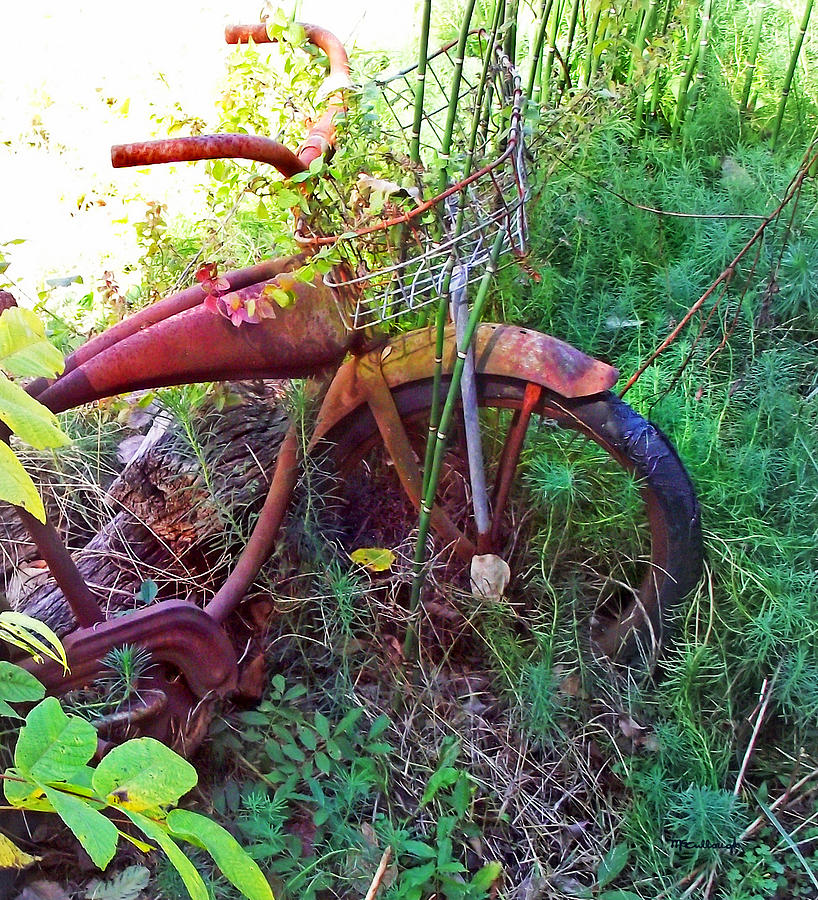 Old Bike and Weeds Photograph by Duane McCullough