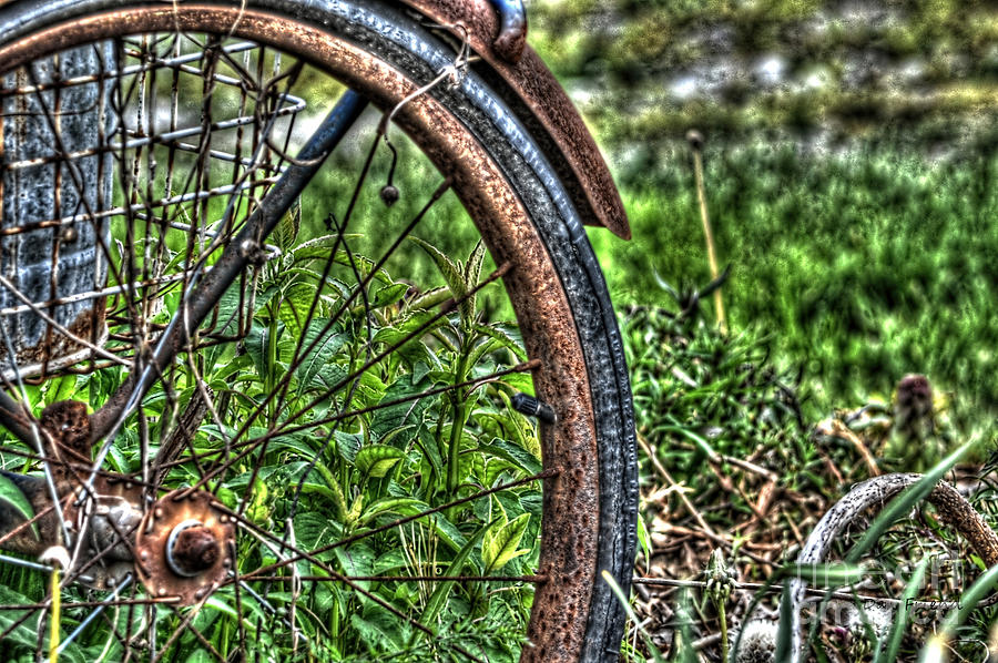Old Bike Wheel Photograph by Dan Friend