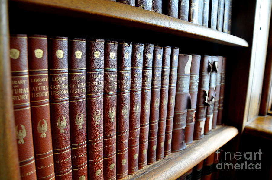 Old Books   9 Photograph by Tatyana Searcy