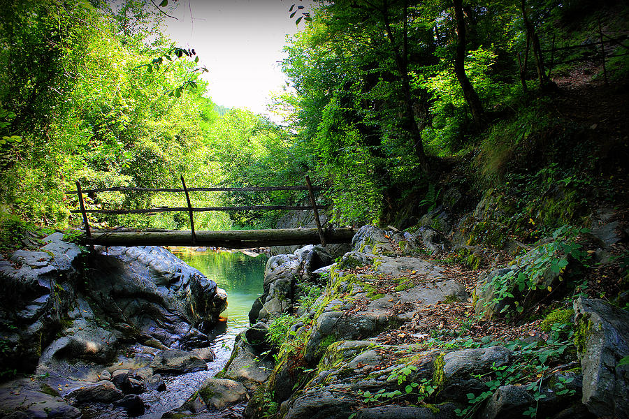 Old Bridge In The Mountain Photograph By Radoslav Nedelchev