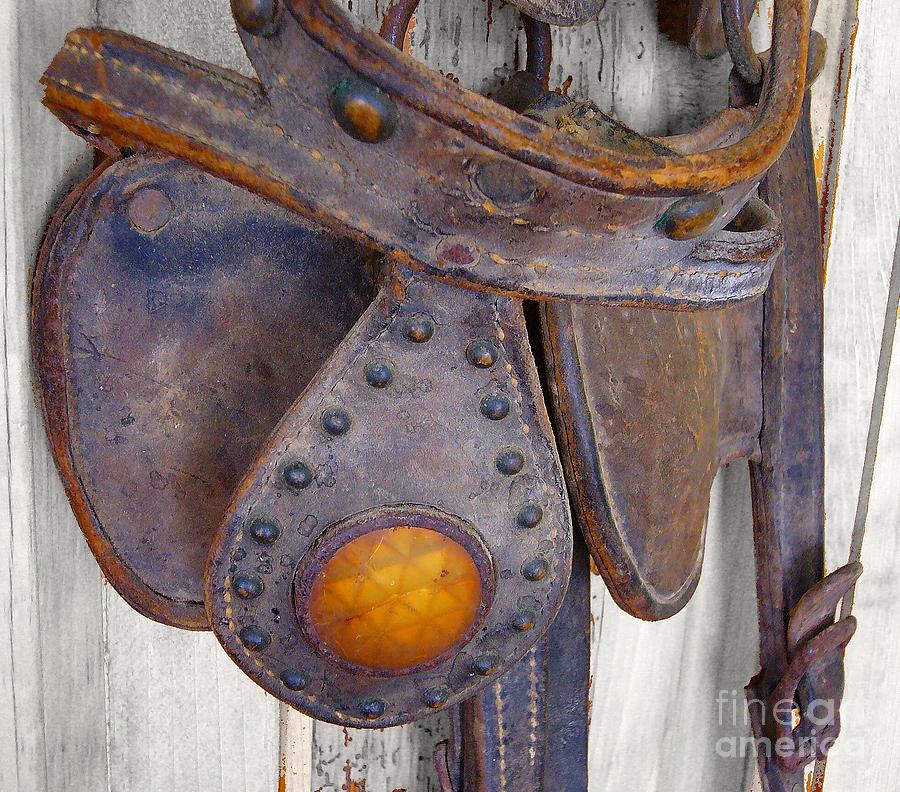 Old Bridle Photograph by Jim Sauchyn