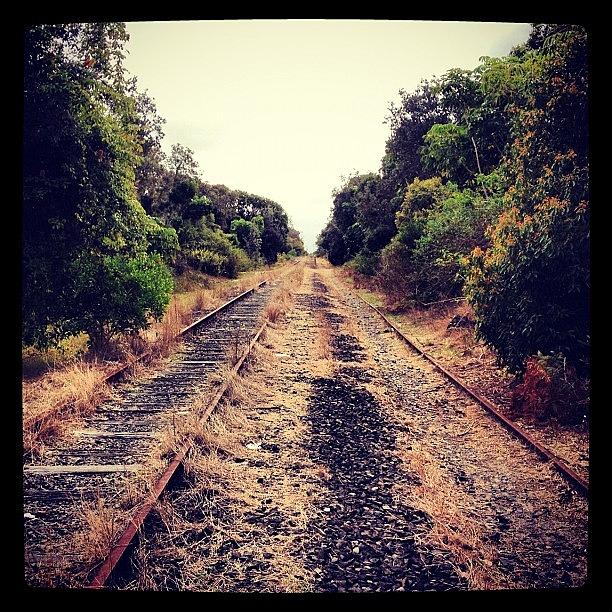 Old Byron Bay Train Track.. Not A Scene Photograph by Dan Ellis