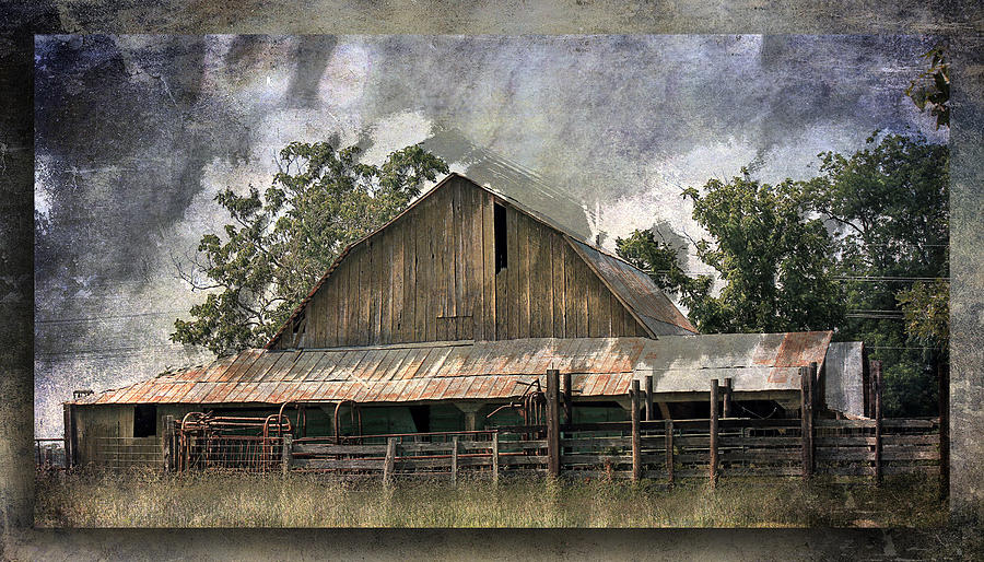 Old Cattle Barn Photograph by Barry Jones