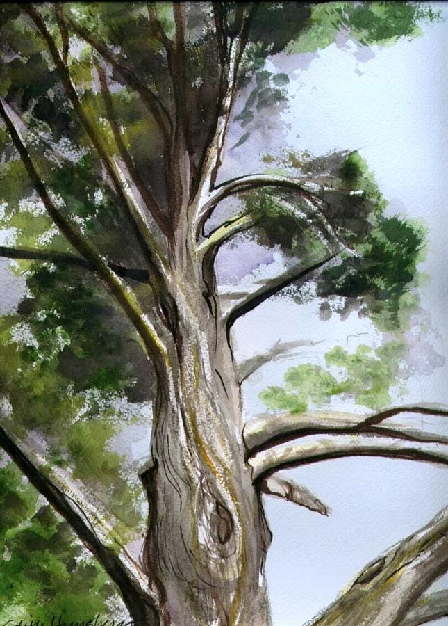 Old Cedar Tree Painting by Edith Hunsberger