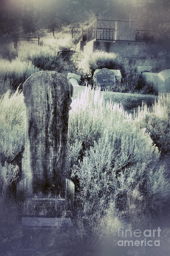 Old Cemetery On A Hill Photograph By Jill Battaglia Fine Art America