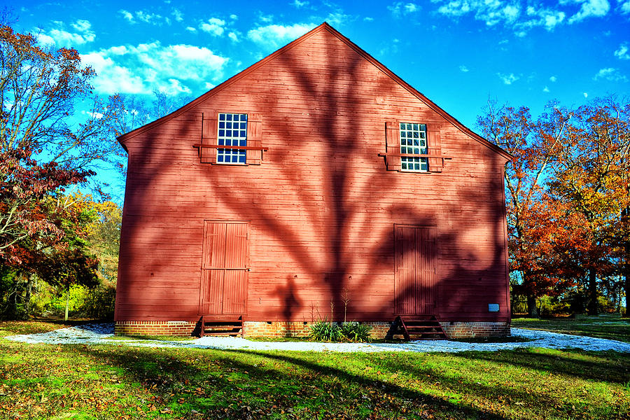Tree Photograph - Old Christ Church by Kelly Reber