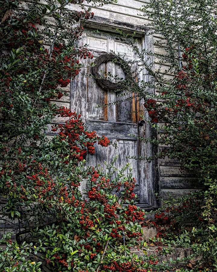 Old Christmas Church Door Photograph by Steve Hurt