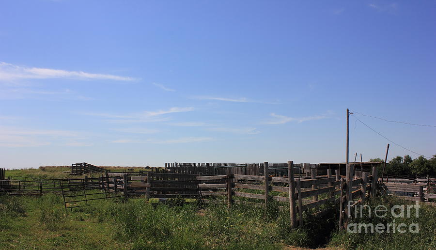 Old corrals on the Alberta prairie Photograph by Jim Sauchyn