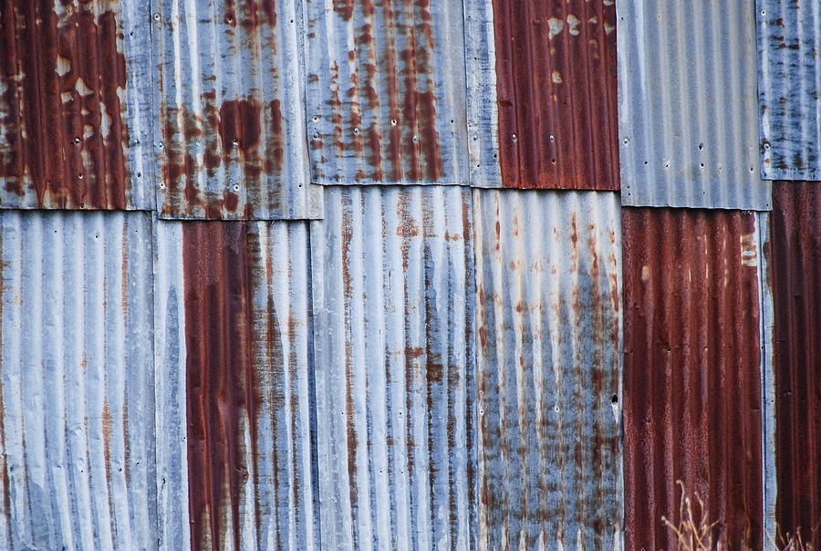 Old corrugated iron Photograph by Fran Woods