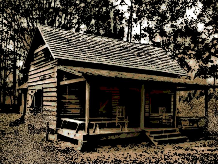 Old Cracker Cabin Photograph By George Pedro