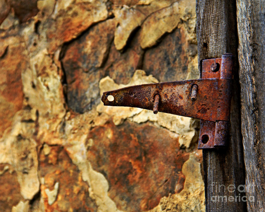Old Door Hinge Photograph by Perry Webster