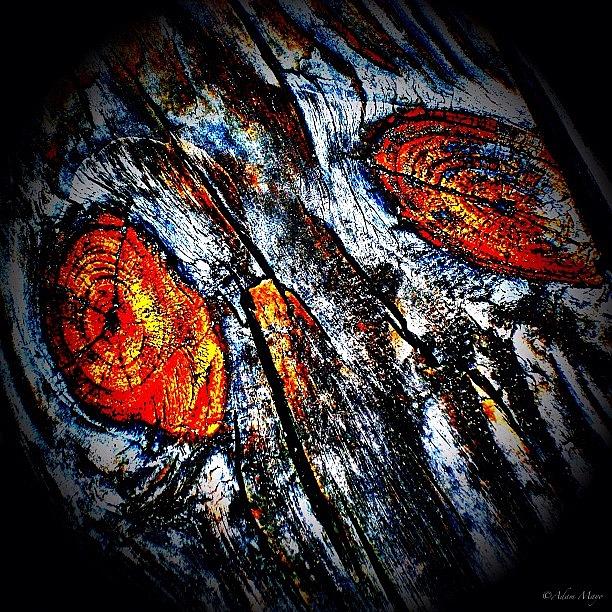 Droid Photograph - Old Eyes A Pinin - ...for One More by Photography By Boopero