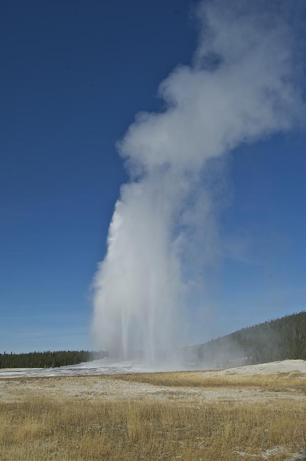 Yellowstone National Park Photograph - Old Faithful 9548 by Michael Peychich