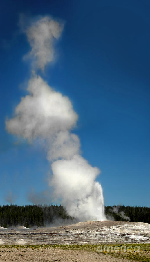 Old Faithful Eruption Photograph by Gregory Dyer | Fine Art America