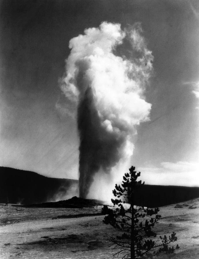 Old Faithful Geyser Erupting Photograph By Everett Fine Art America