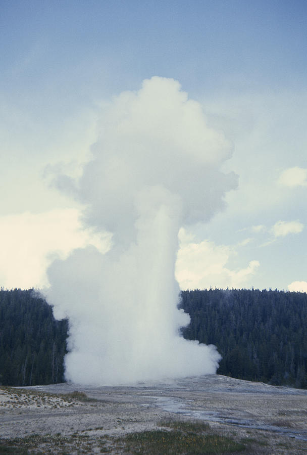 Old Faithful Geyser Erupts About Once Photograph By Gordon Wiltsie